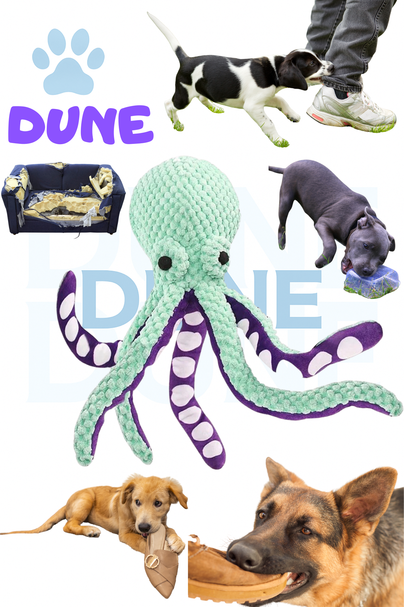 đ Le Jouet Poulpe que Ton Chien DĂ©sire dune