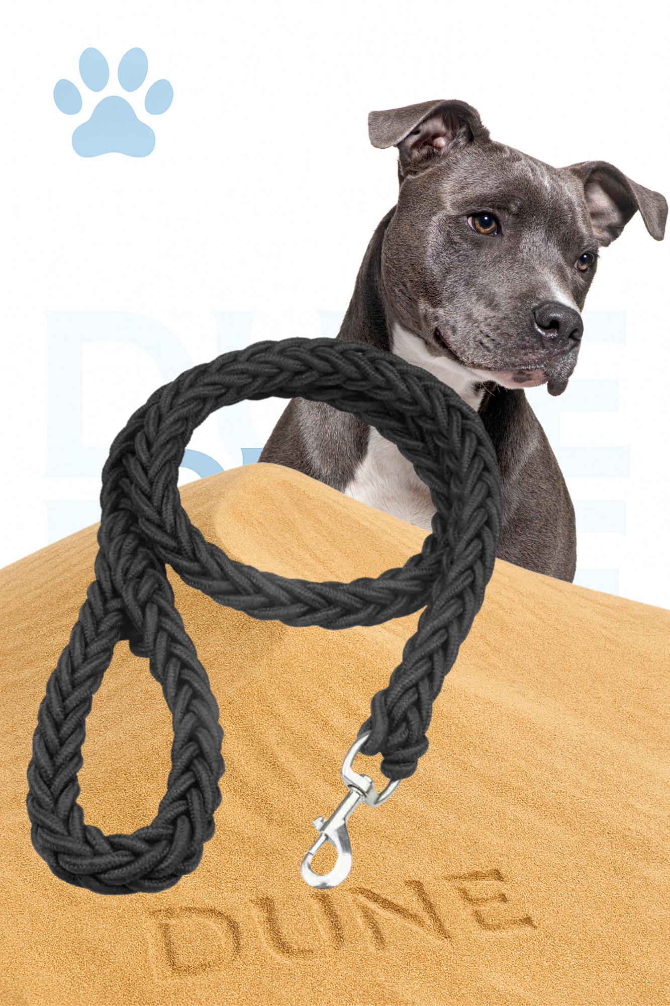 Laisse Tressée Ultra-Résistante – Confort & Sécurité dune