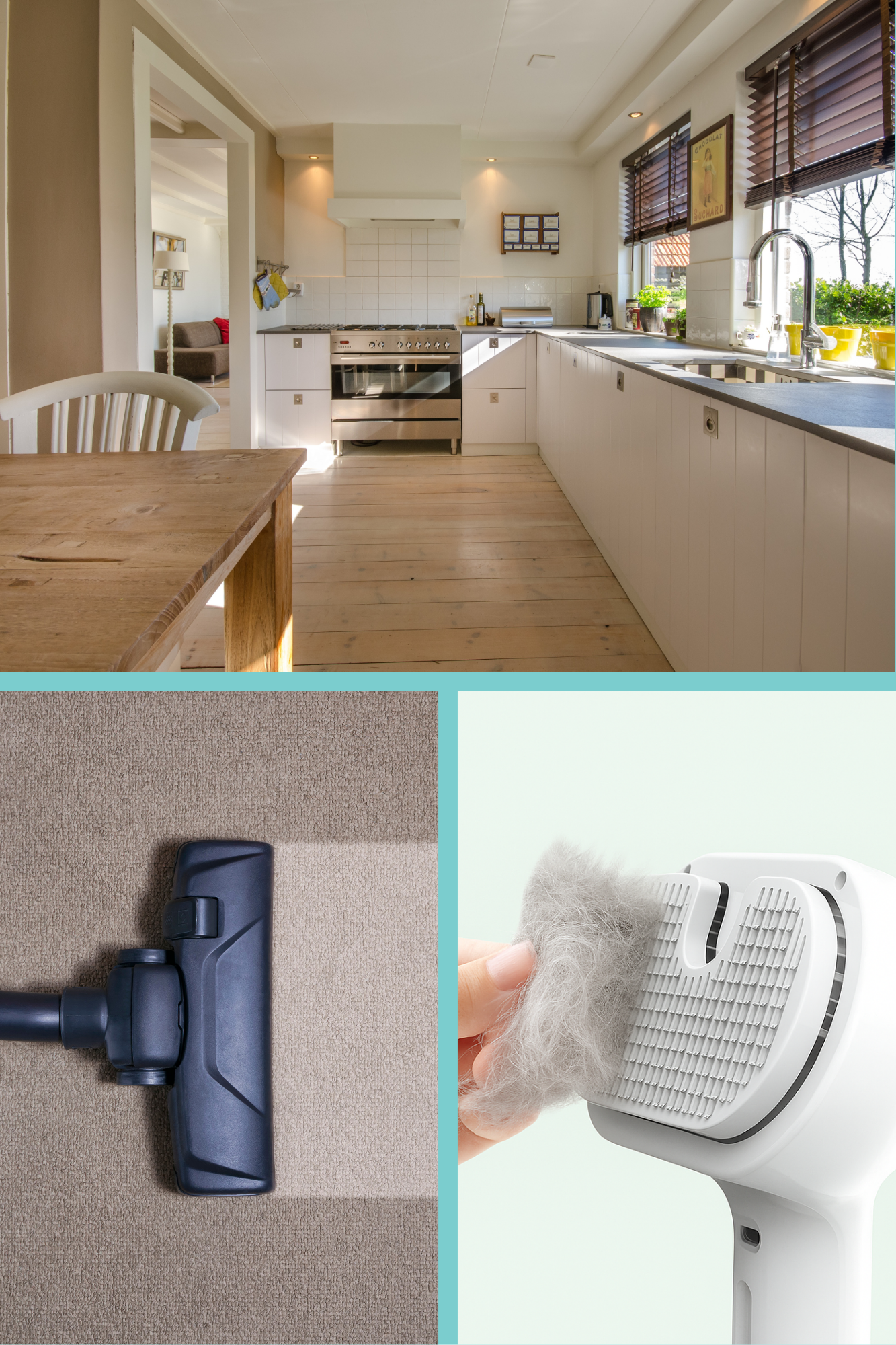 🐾 Brosse Électrique Anti Poils