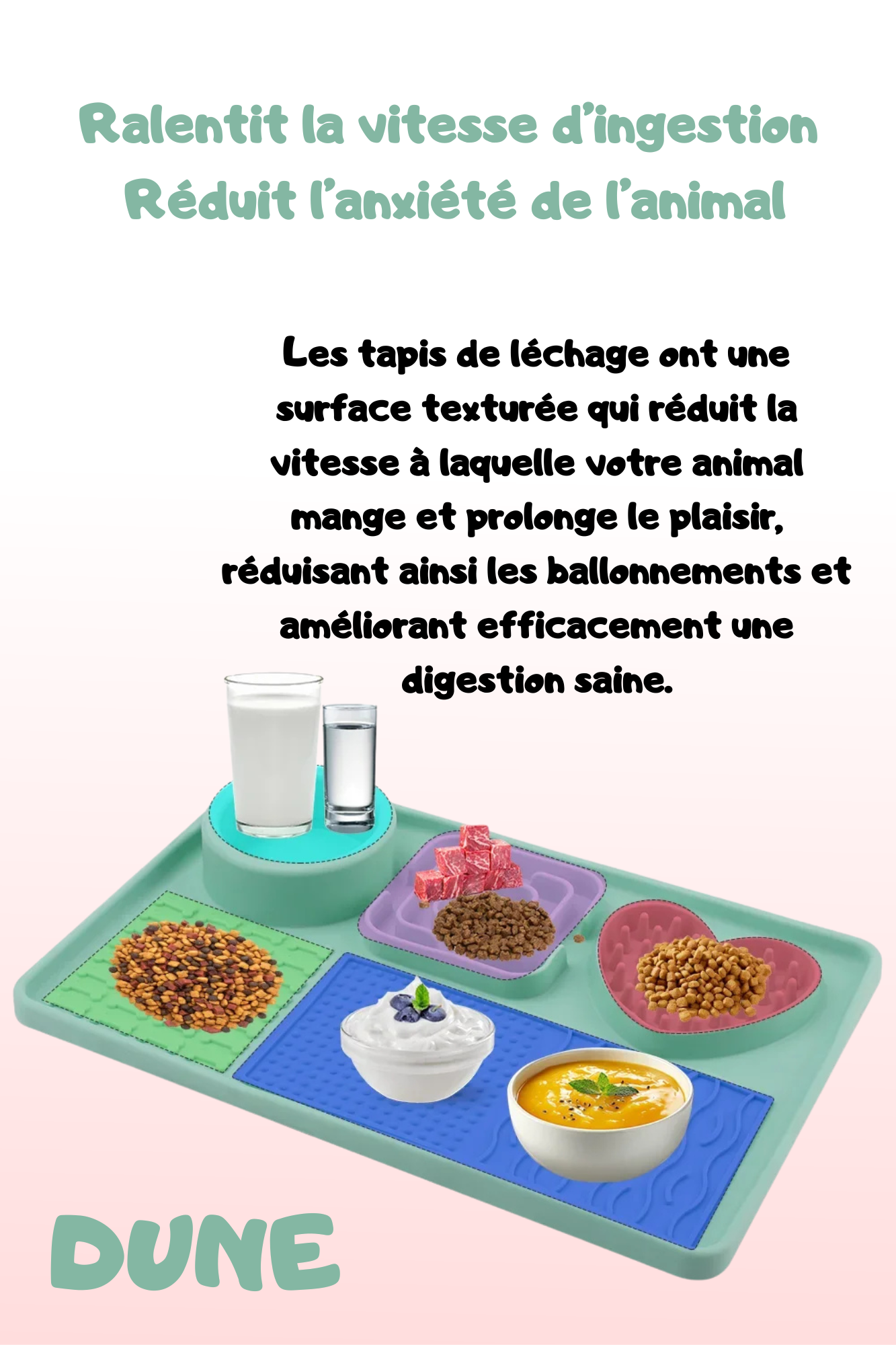 Tapis de Léchage & Gamelle d’Alimentation Lente