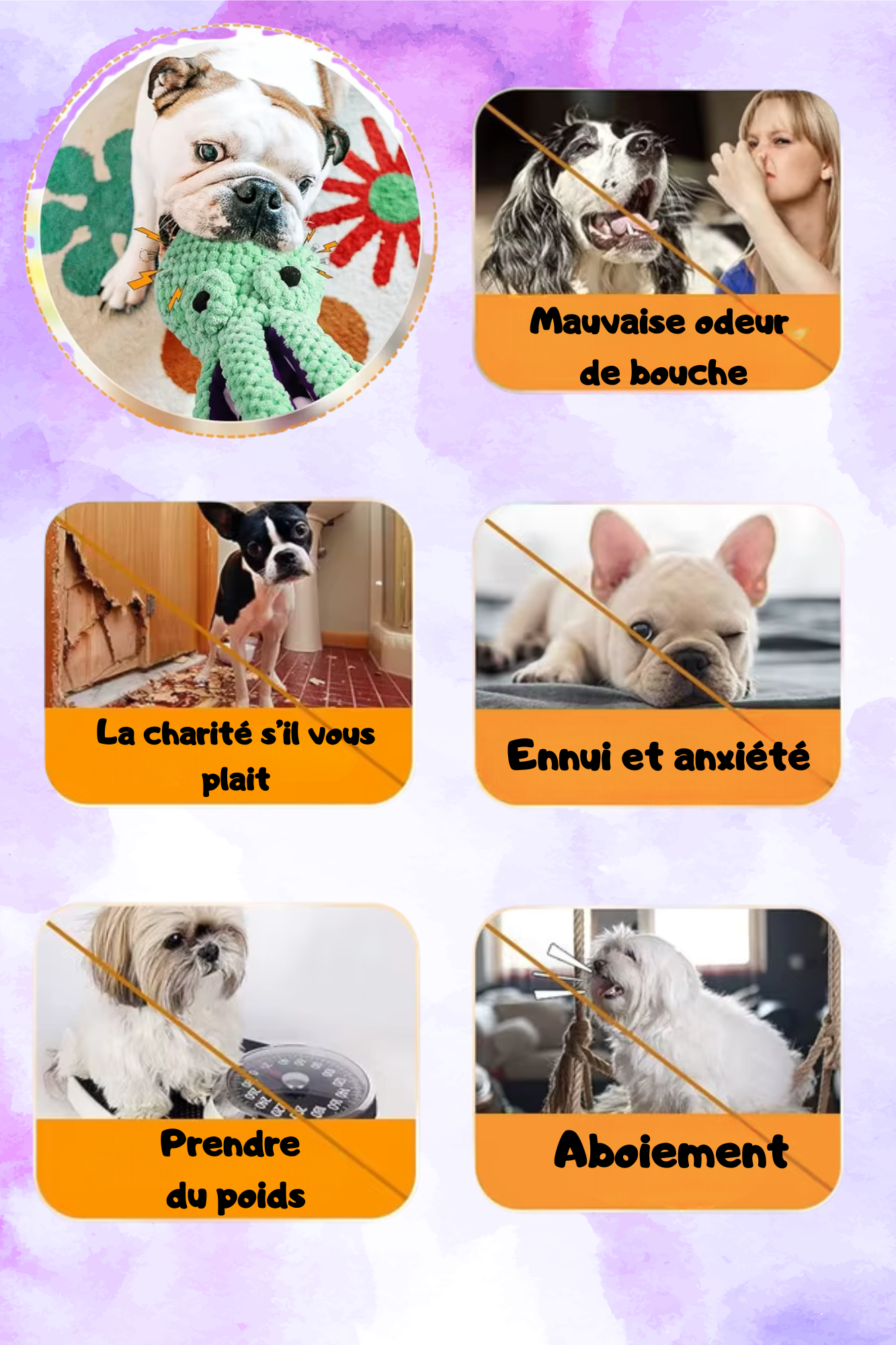 đ Le Jouet Poulpe que Ton Chien DĂ©sire