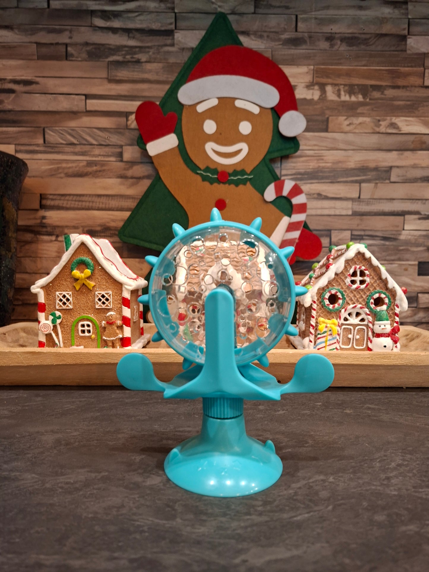 🐾 Le Jouet Interactif 360°