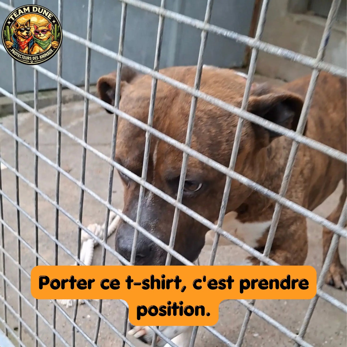 Les animaux ont besoin de protecteurs.