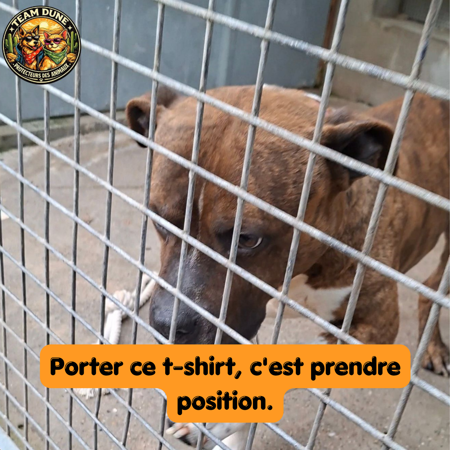 T-shirt Brodé Chien — Style Rétro, Âme Libre