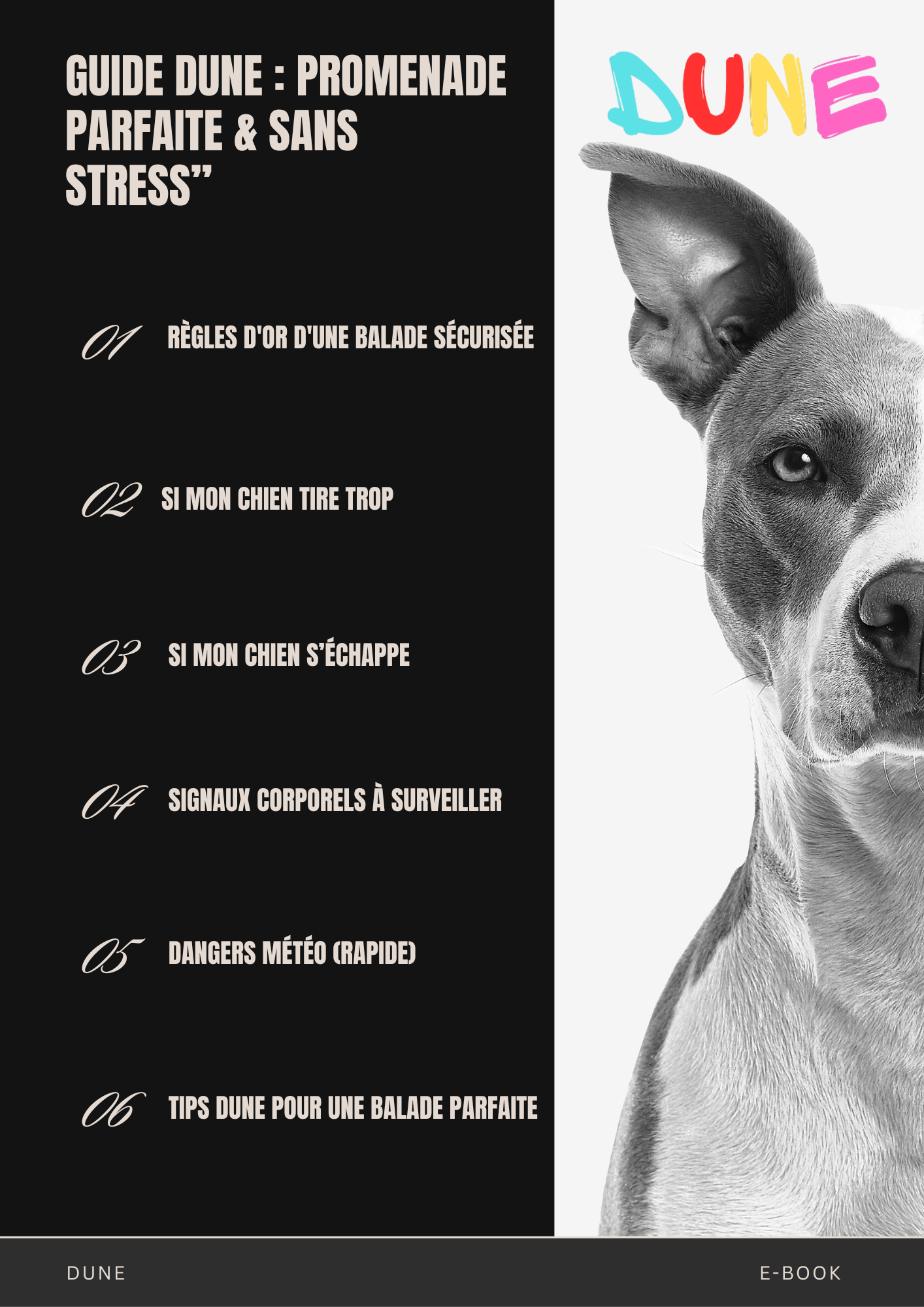 E-book DUNE La carte essentielle