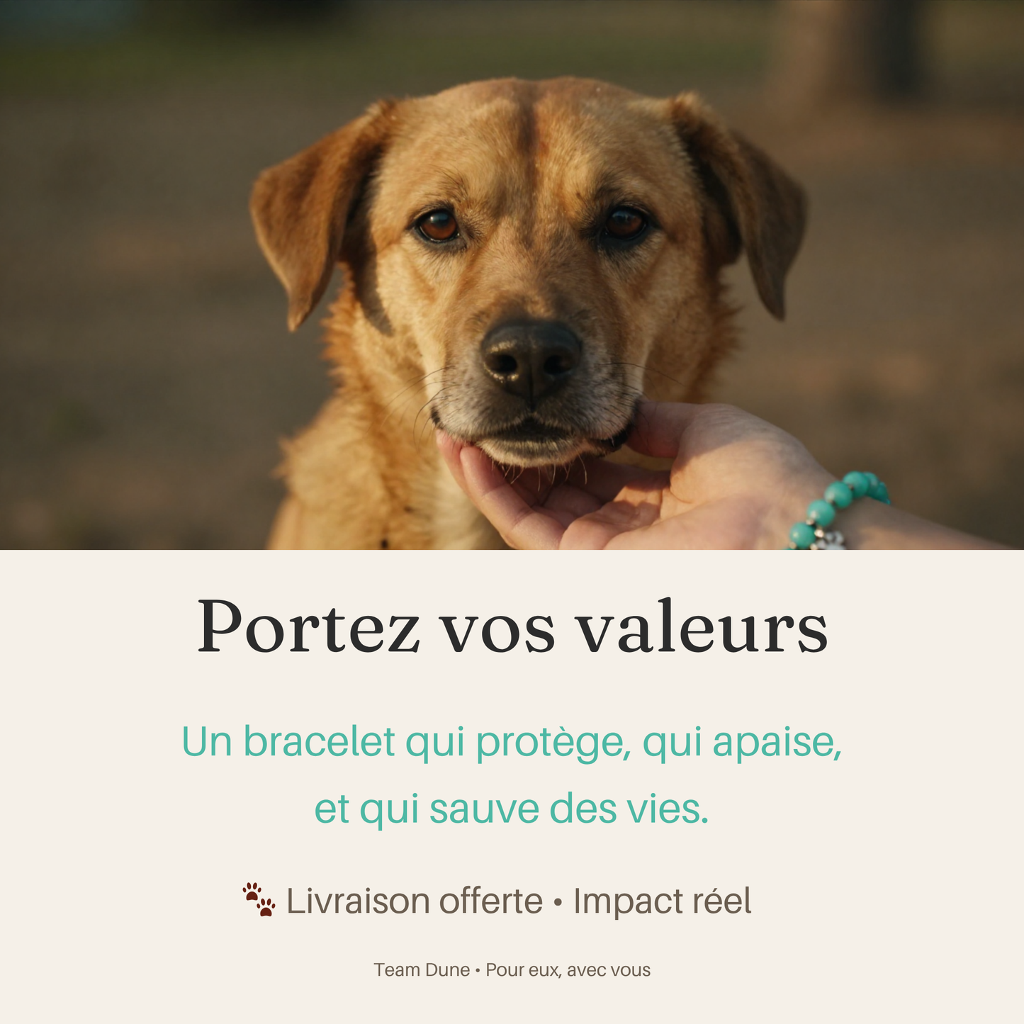 Bracelet Pierre Naturelle Patte de Chien — Ce Que la Terre Garde en Mémoire