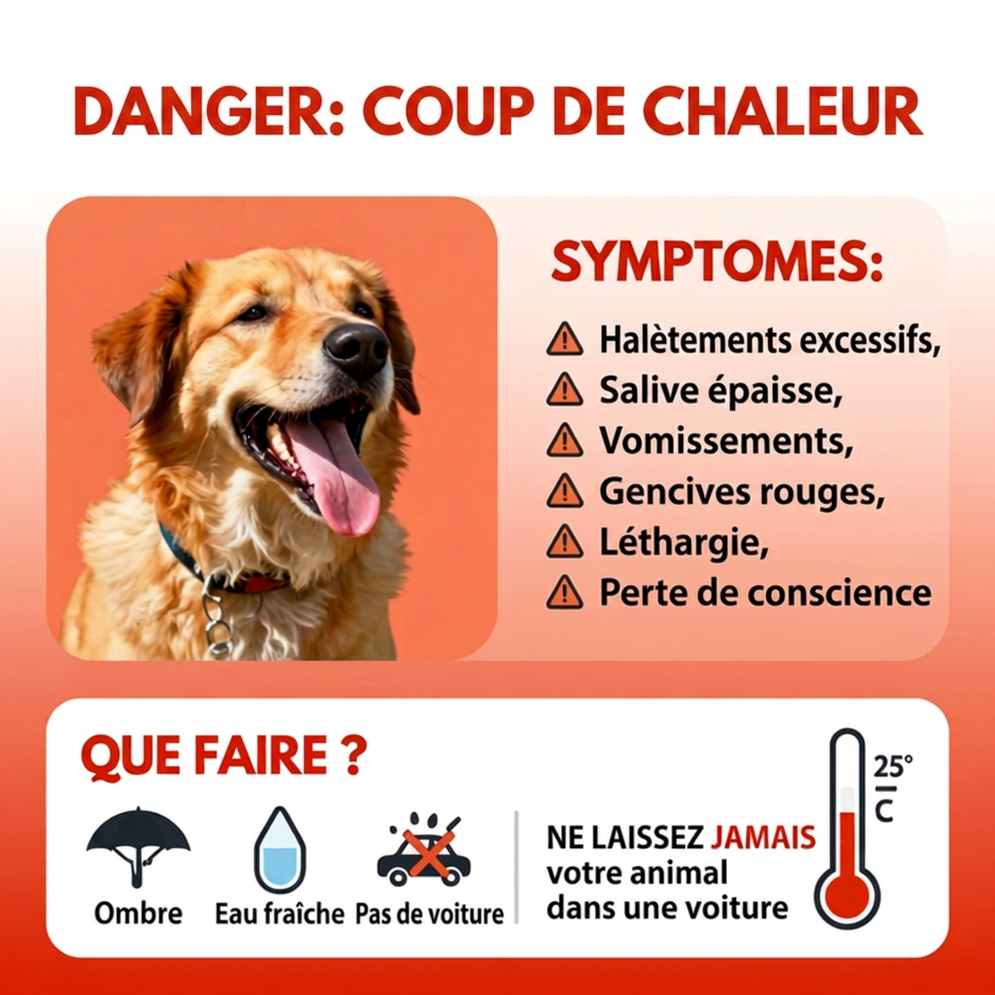 Tapis Rafraîchissant pour Chien & Chat — Protection Canicule, Confort Immédiat