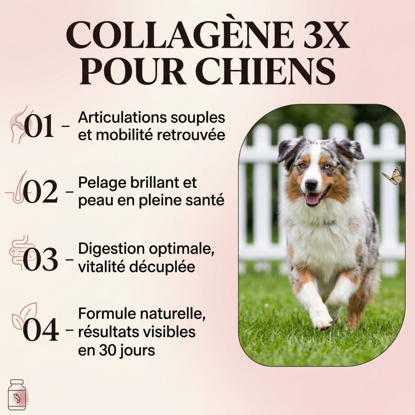 Collagène Liquide pour Chien — Articulations, Peau & Pelage