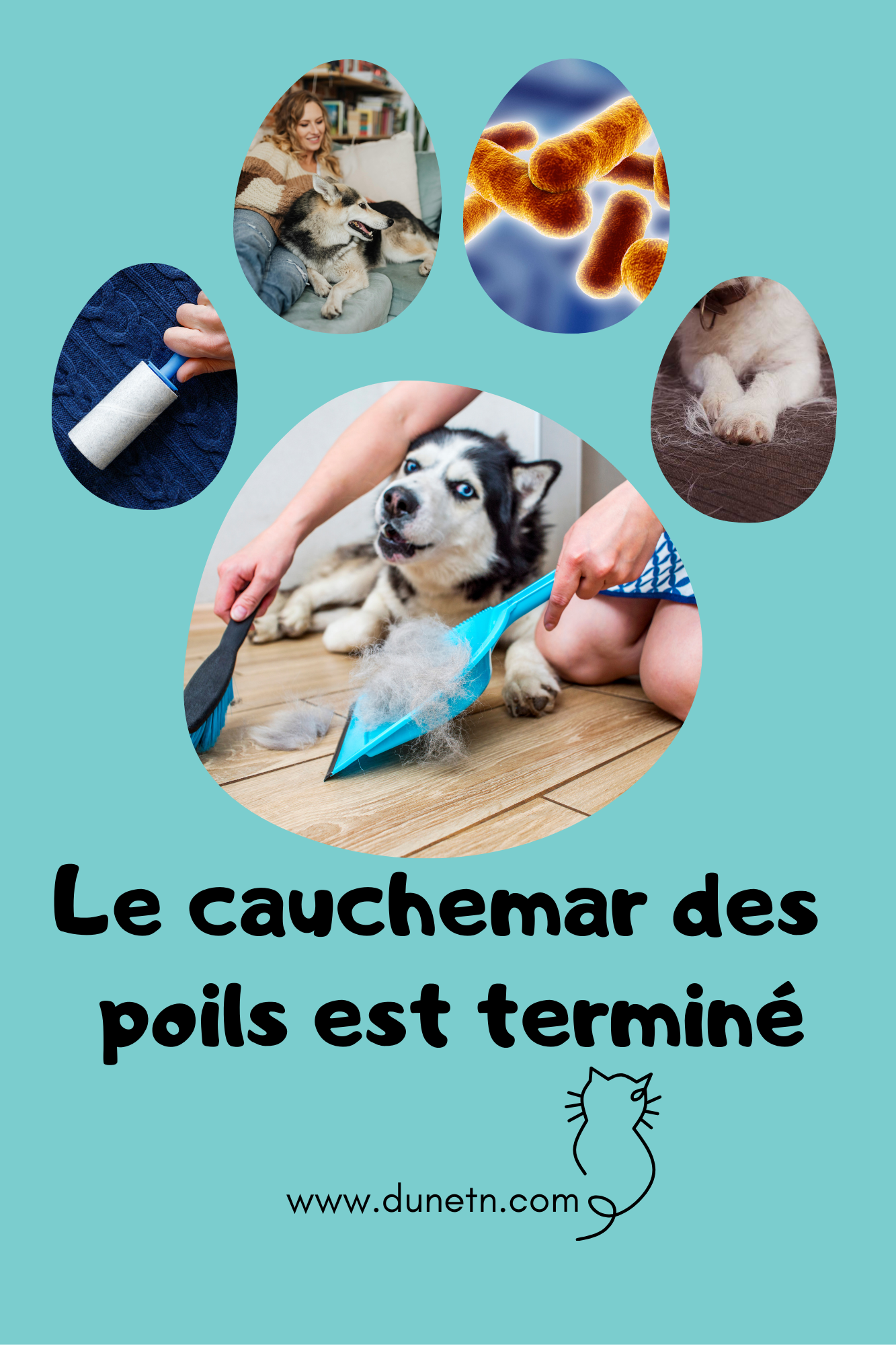 🐾 Brosse Électrique Anti Poils