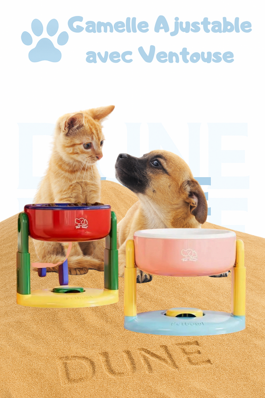Gamelle Ajustable avec Ventouse – Confort Santé pour Chiens et Chats dune