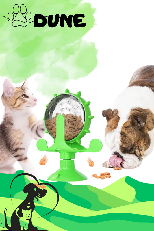 🐾 Le Jouet Interactif 360°