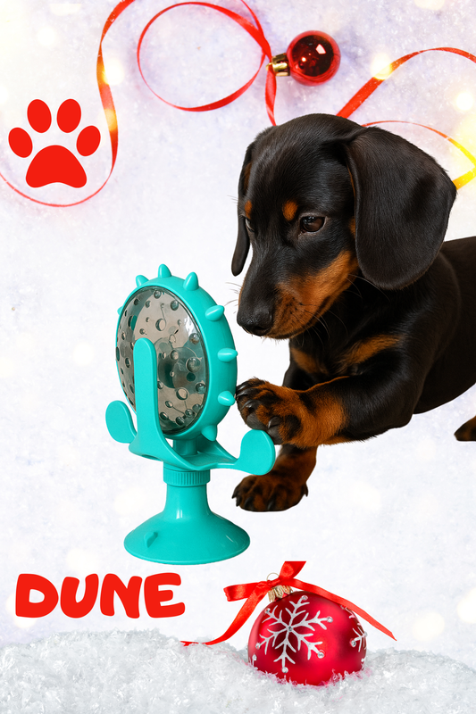 🐾 Le Jouet Interactif 360°