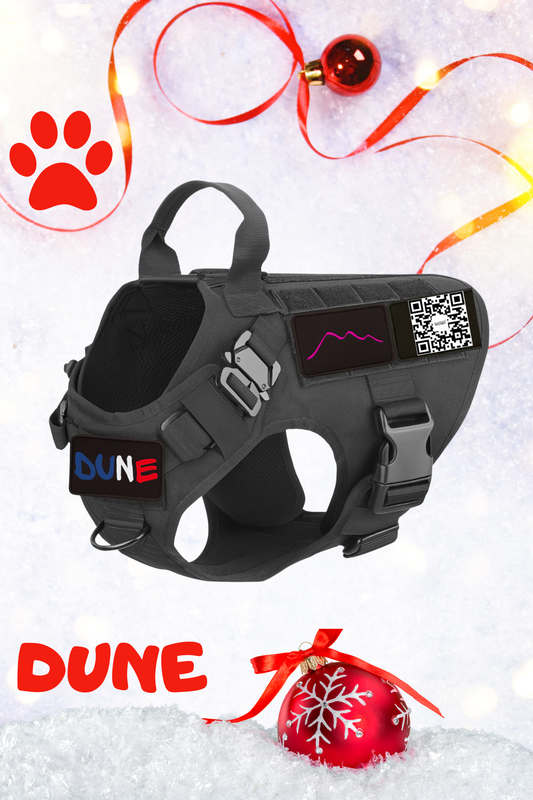 Harnais Tactique DUNE™