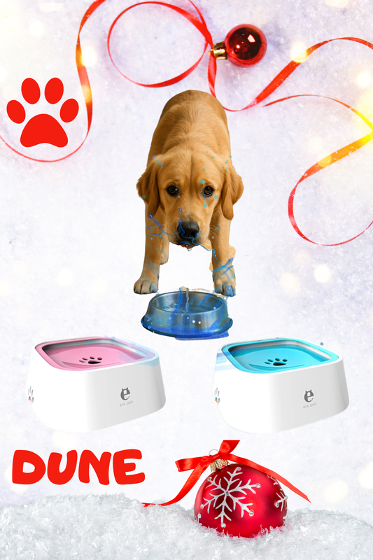 🐾 Gamelle Antiéclaboussures