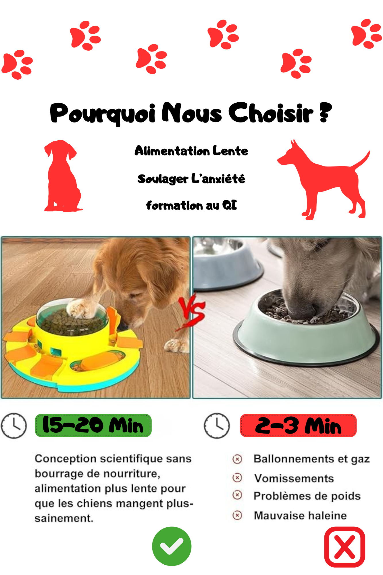 🧡 Jouet Interactif Multifonctionnel 3-en-1 pour Chien