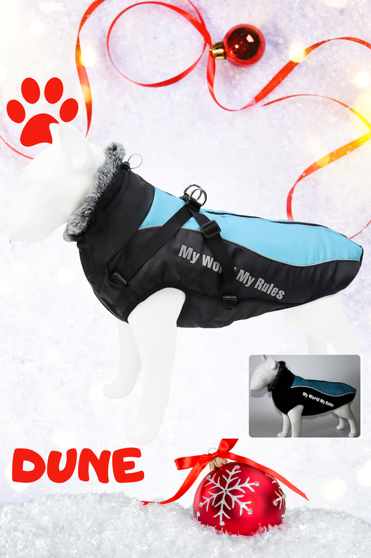 Veste-Harnais Tout-en-Un