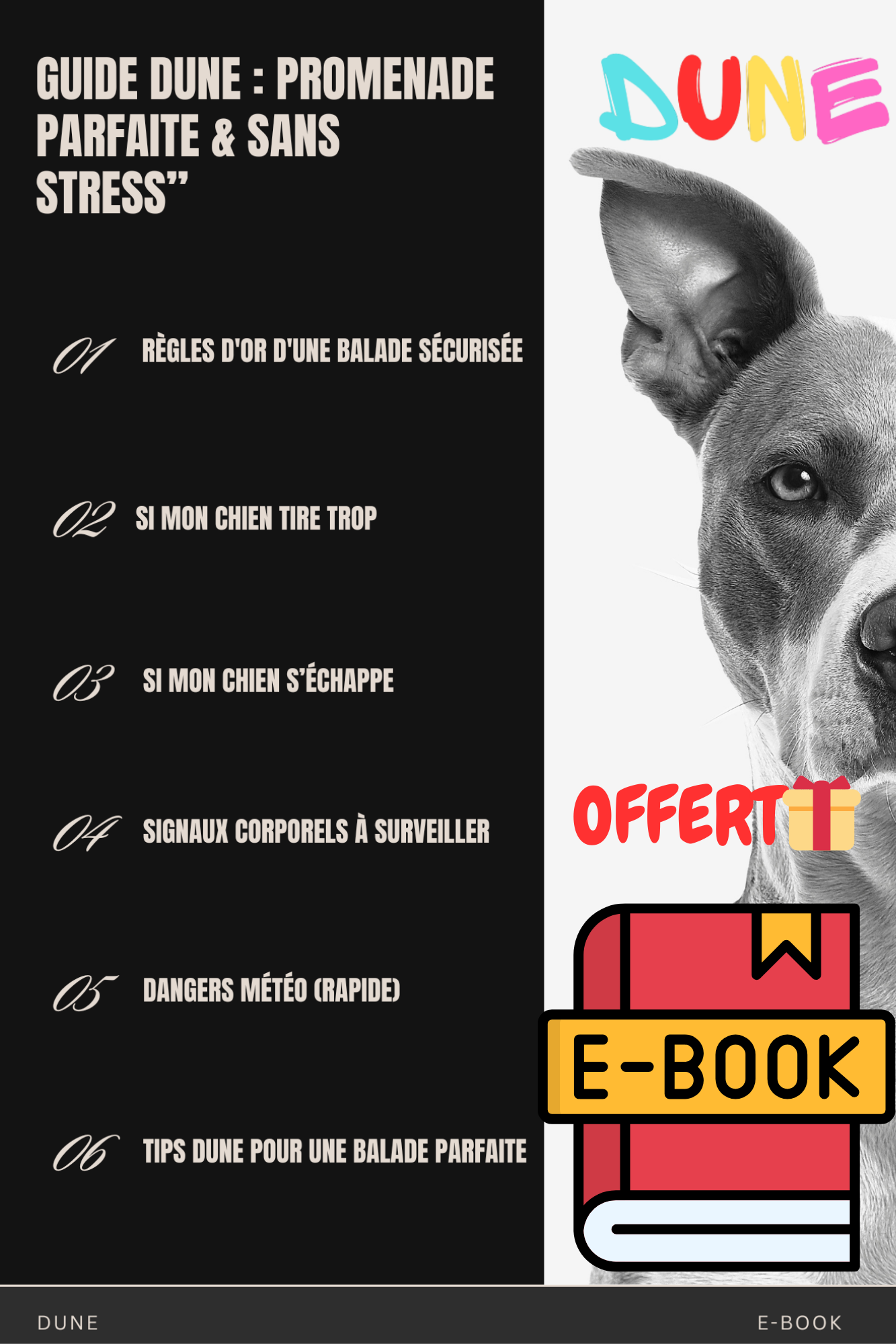 Veste-Harnais Tout-en-Un