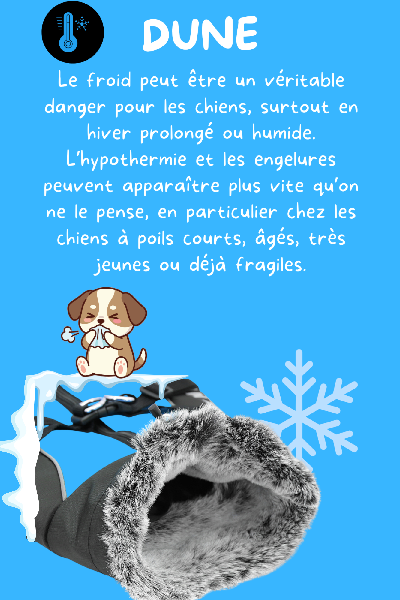 Veste-Harnais Tout-en-Un