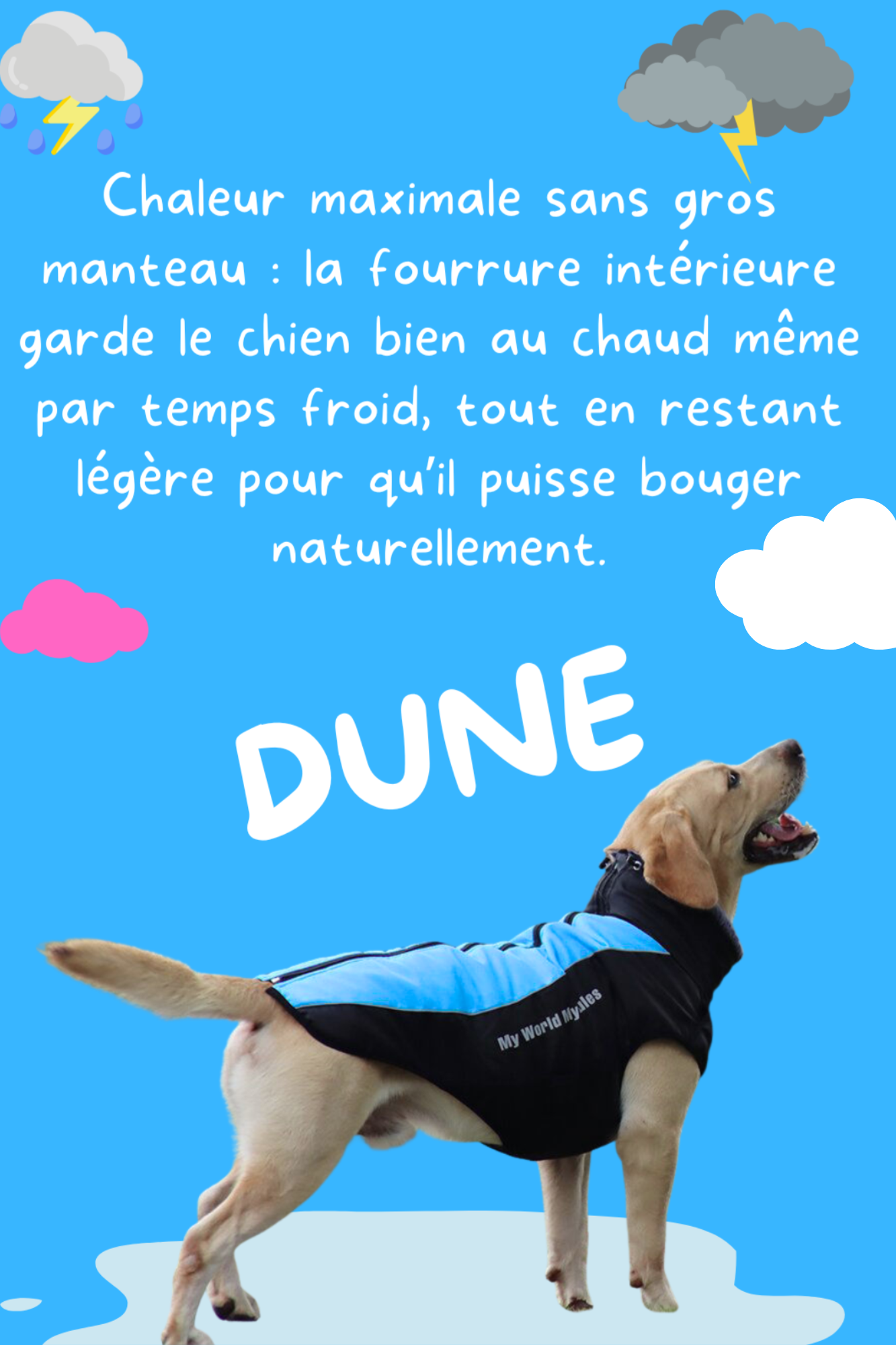 Veste-Harnais Tout-en-Un