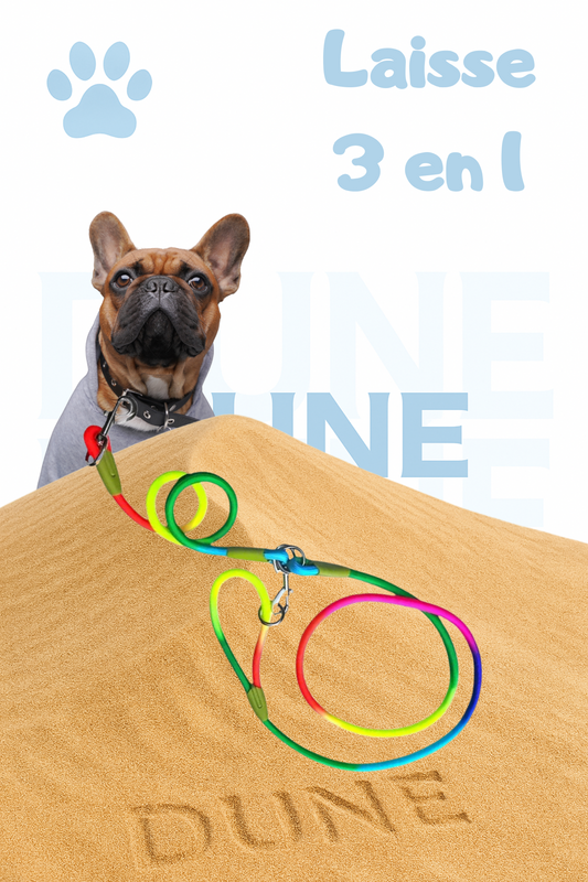 🐾 Laisse 3-en-1 Mains Libres
