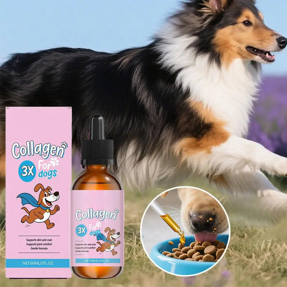 Collagène Liquide pour Chien — Articulations, Peau & Pelage