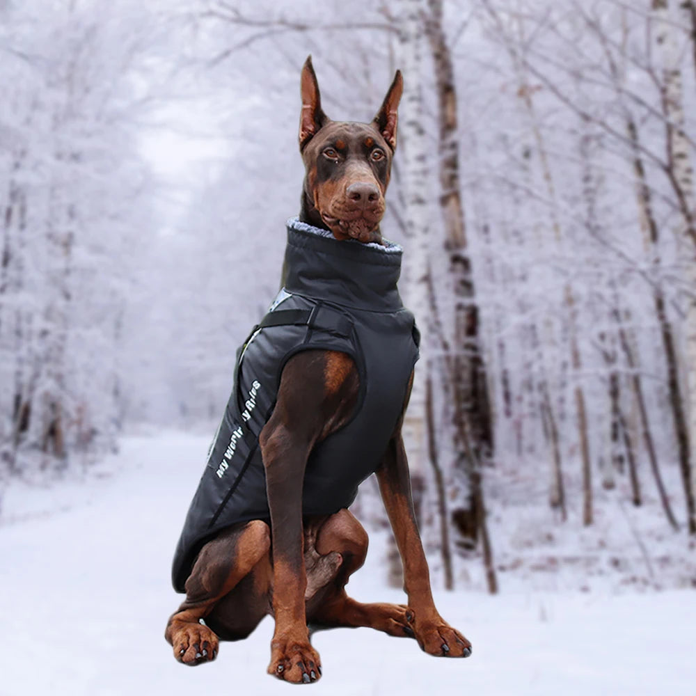 Manteau Imperméable avec Harnais Intégré