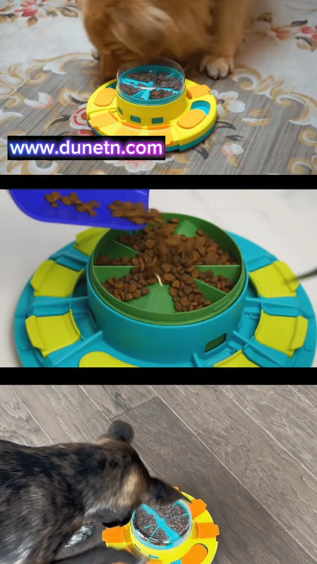 🧡 Jouet Interactif Multifonctionnel 3-en-1 pour Chien