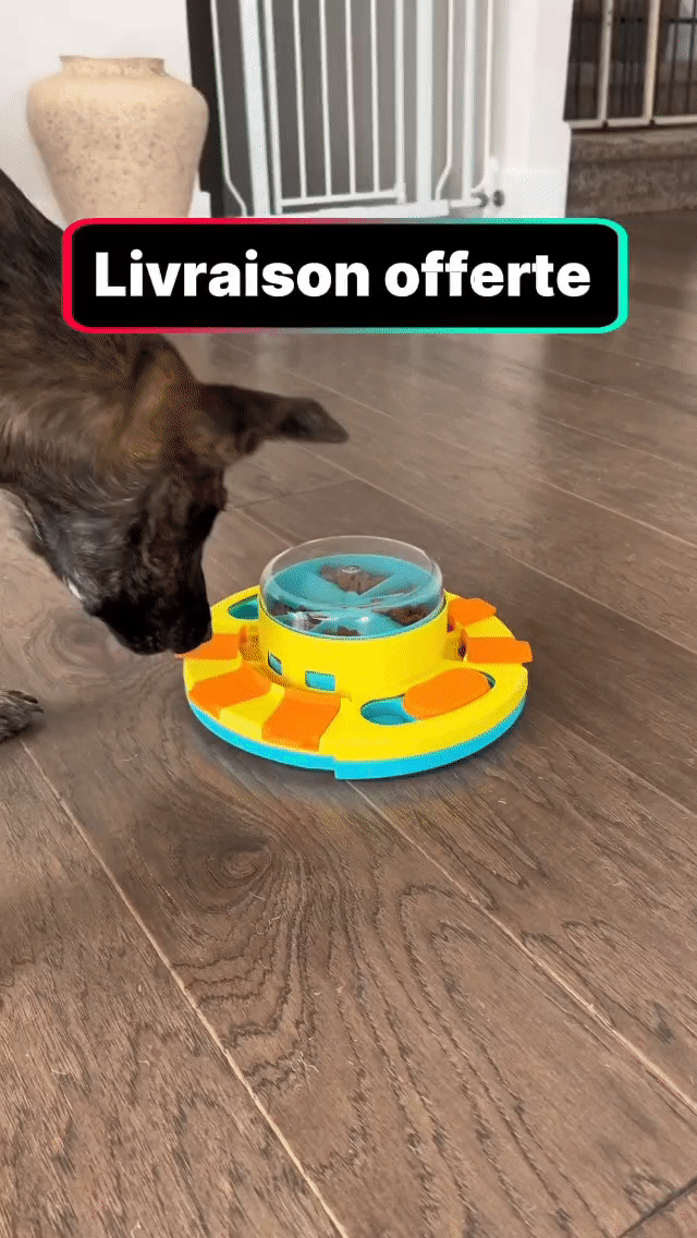 🧡 Jouet Interactif Multifonctionnel 3-en-1 pour Chien