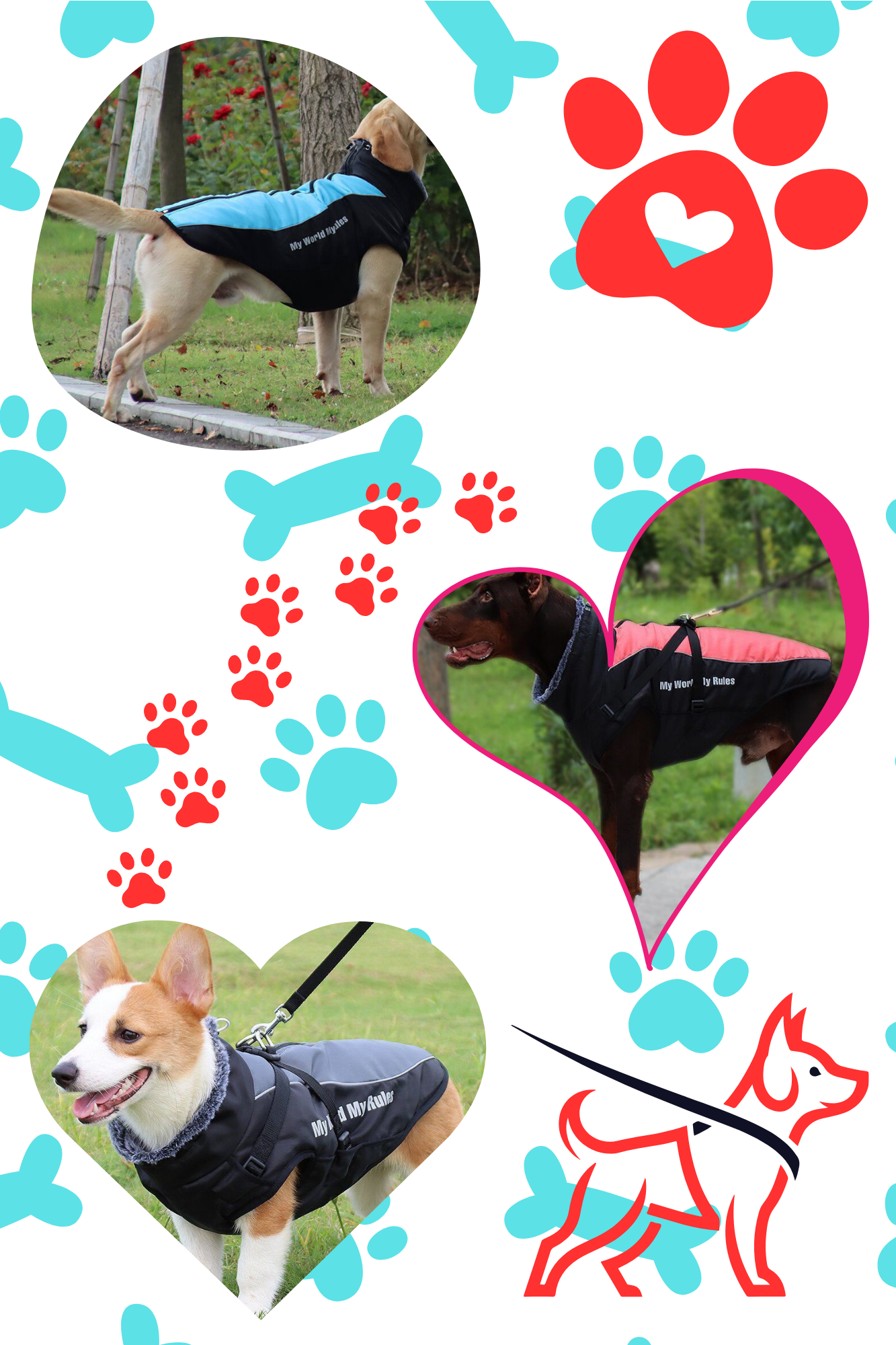 Veste-Harnais Tout-en-Un